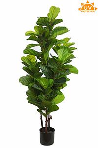 ARBOL DE FICUS LYRATA ARTIFICIAL 145CM