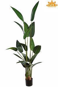 PLANTA ESTERLICIA ARTIFICIAL 180CM
