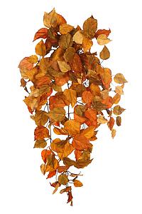 COLGANTE ALAMO OTOÑAL 90CM