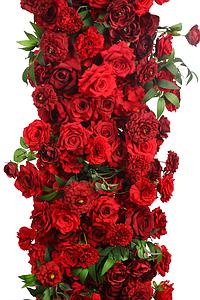 PANEL ROSAS ROJAS 200X40CM