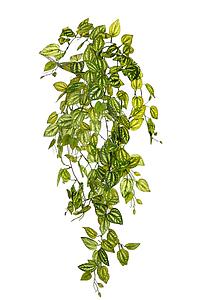 PLANTA FITONIA ARTIFICIAL 90CM