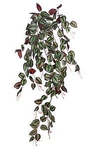 TRADESCANTIA ARTIFICIAL COLGANTE 90CM
