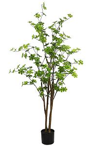ENKIANTHUS ARTIFICIAL EN MACETA 145CM