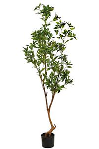 ARBOL SCHEFFLERA ARTIFICIAL 180CM