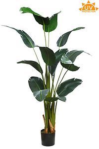 PLATANERA ARTIFICIAL CON MACETA 170CM