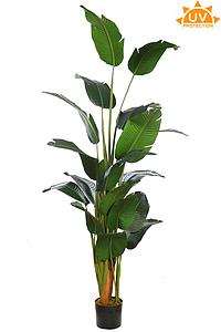 BANANERA ARTIFICIAL EN MACETA 210CM