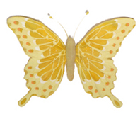 MARIPOSA EXOTICA