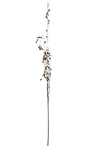 RAMA COLGANTE PIÑAS DORADAS 140CM